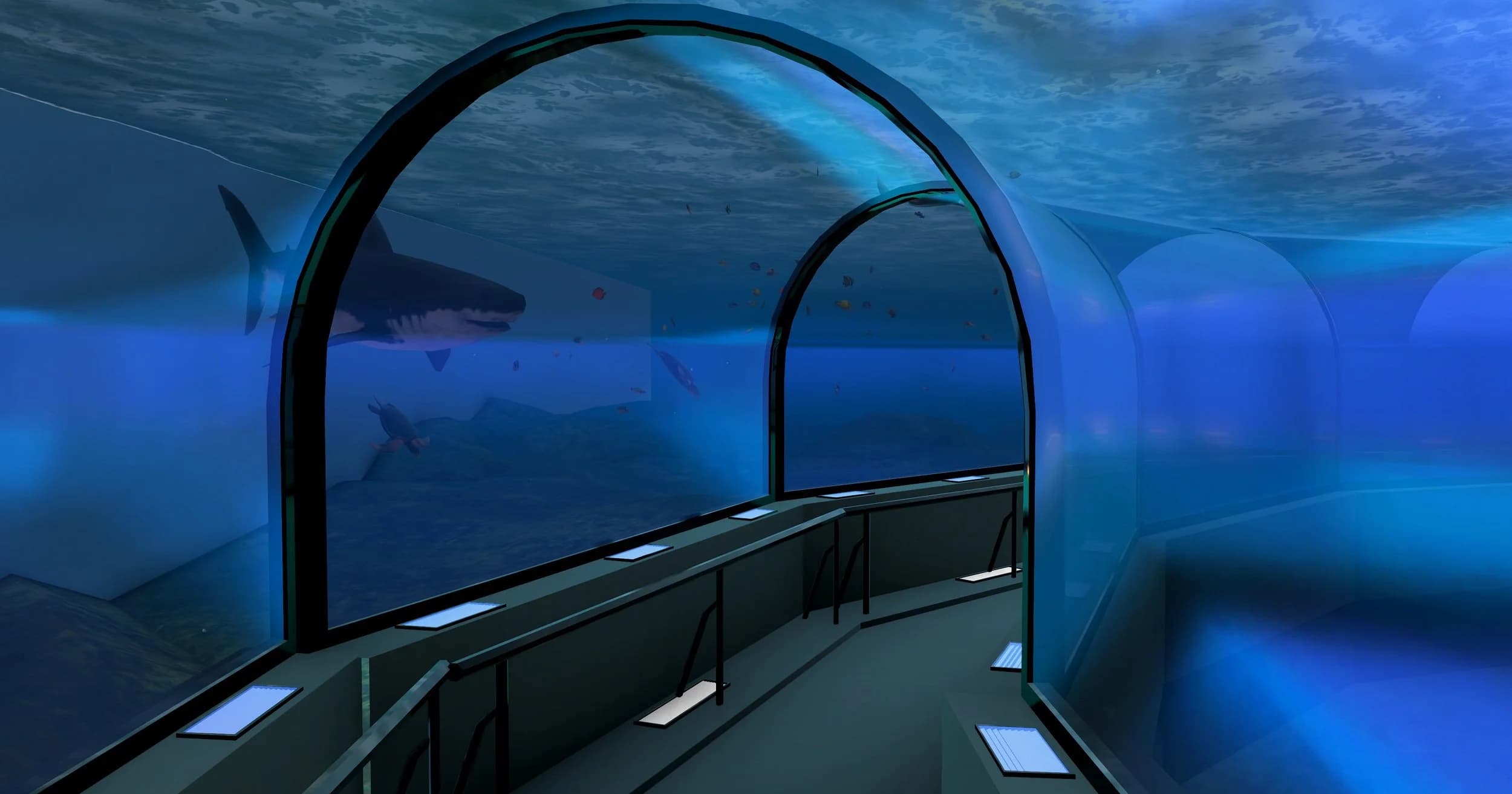 Aquatic Adventures